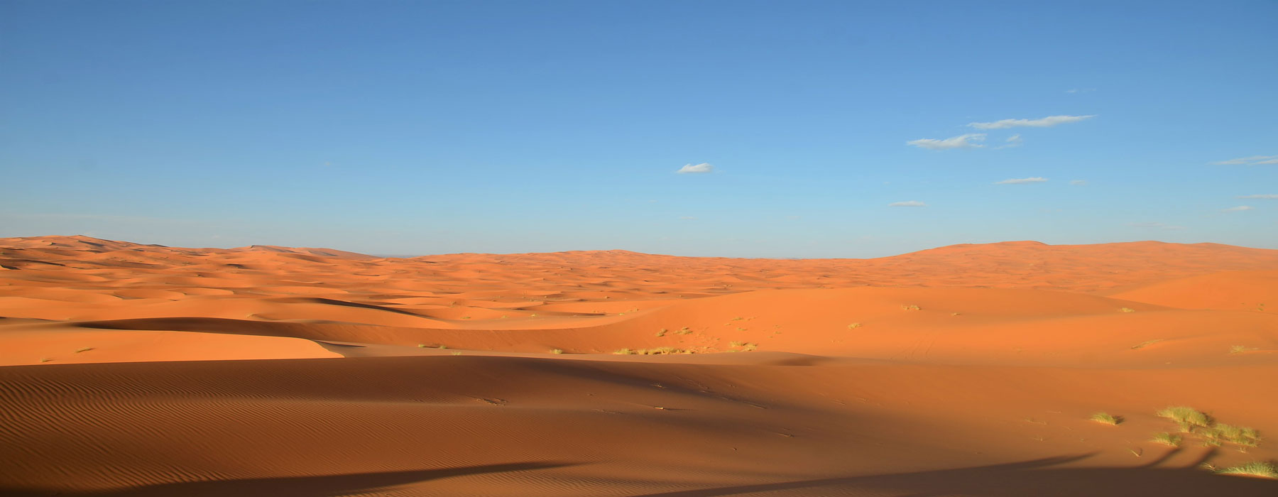 Shared Desert Tours from Marrakech