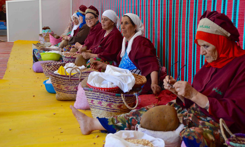 captivating Shared Day Trip From Marrakech To Essaouira