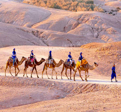 Agafay Desert Quad & Camel Tour With Dinner Show