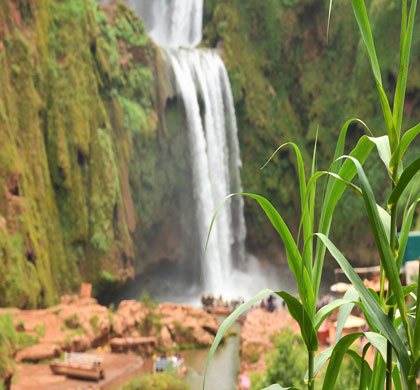 Ouzoud Waterfalls Private Day Trip From Marrakech
