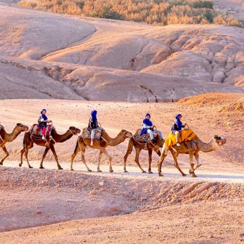 AGAFAY-DESERT-QUAD-CAMEL-TOUR-WITH-DINNER-SHOW