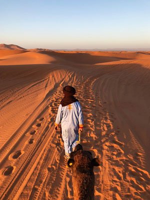 El desierto del Sahara