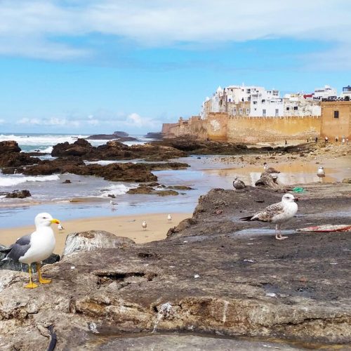 ESSAOUIRA-From-MARRAKECH-05