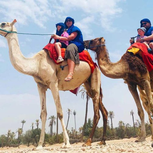 Camel-Ride-Marrakech-01